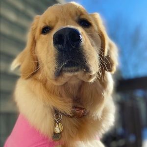 Meet your Posher, Sidney